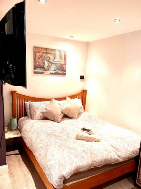 Contractors Luxurious Cozy Studio Apartment